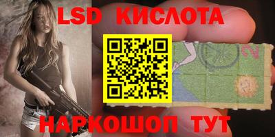 прущие грибы Пенза