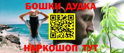 прущие грибы Пенза