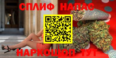 прущие грибы Пенза