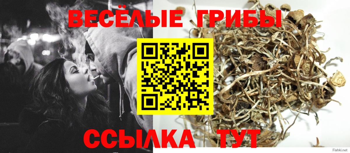 Галлюциногенные грибы прущие грибы  Галлюциногенные грибы Cubensis  Ульяновск  Вход с VPN 